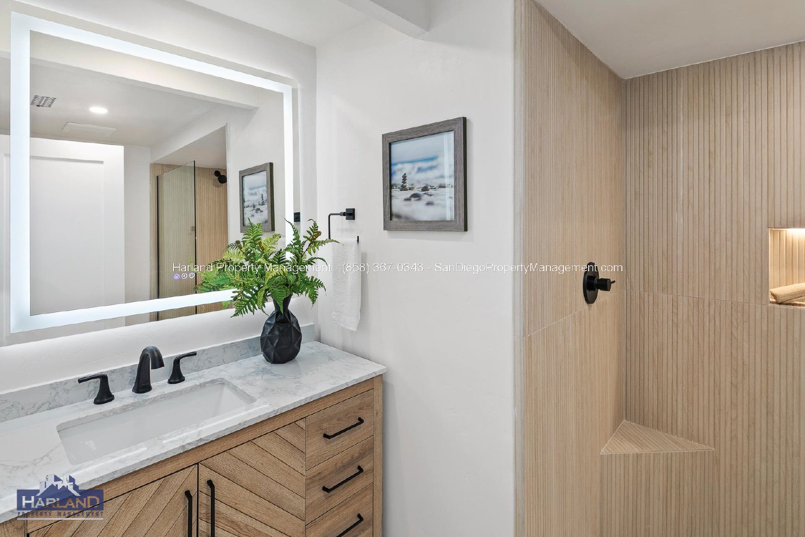 12925 Caminito Del Canto property image