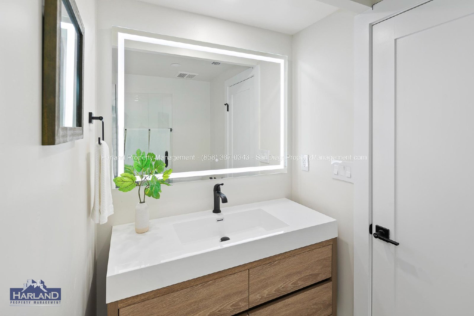 12925 Caminito Del Canto property image