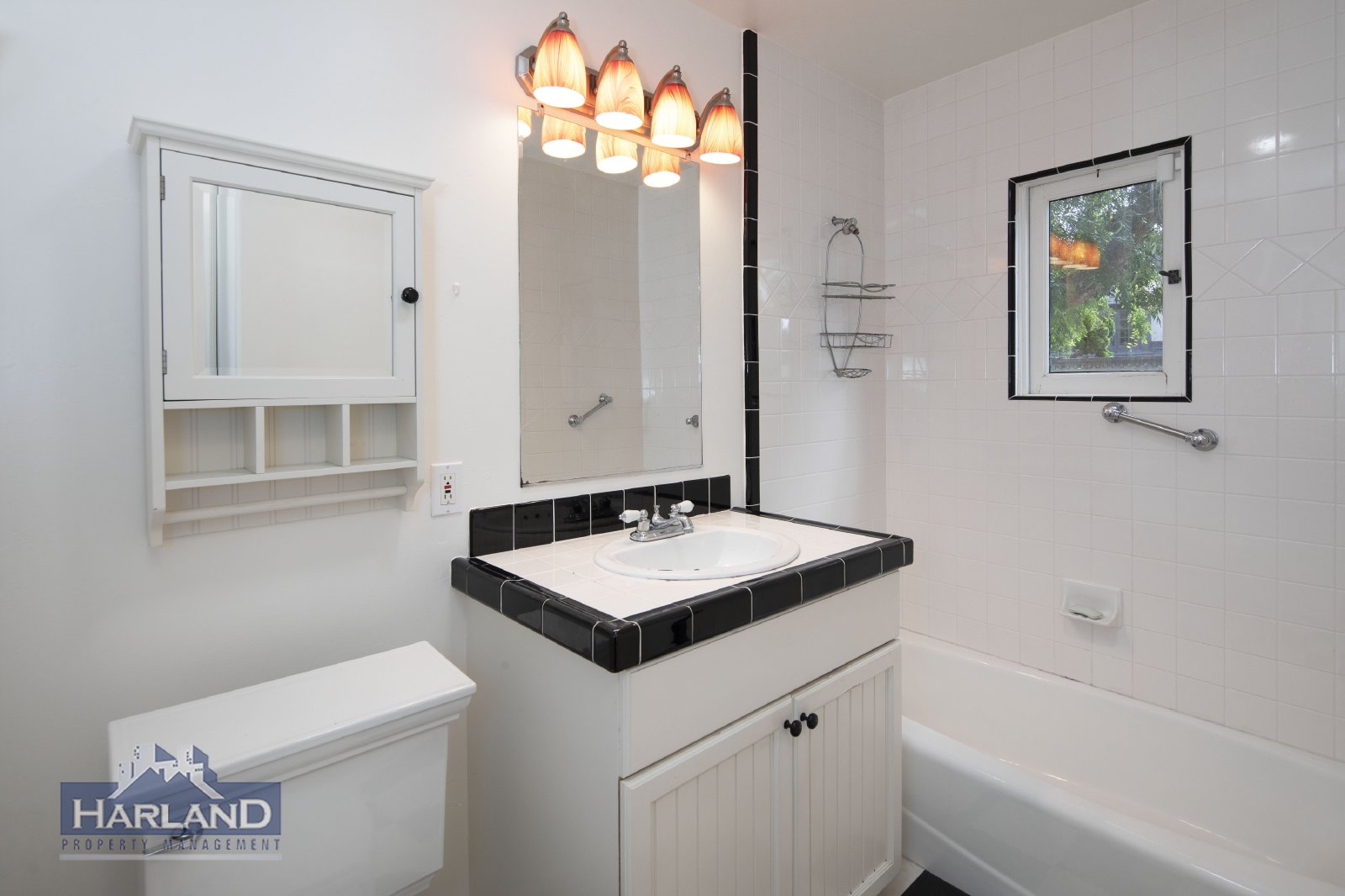 409 Dunemere Dr property image