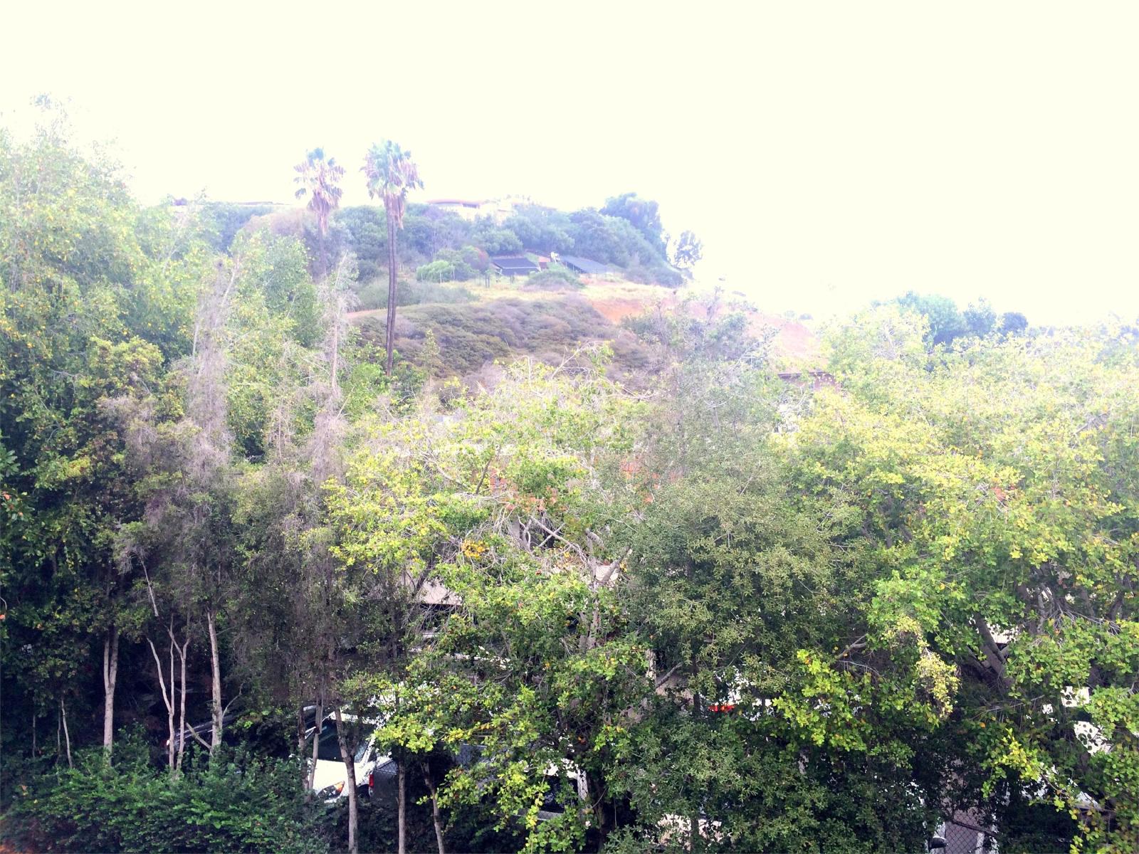2510 Torrey Pines Rd property image