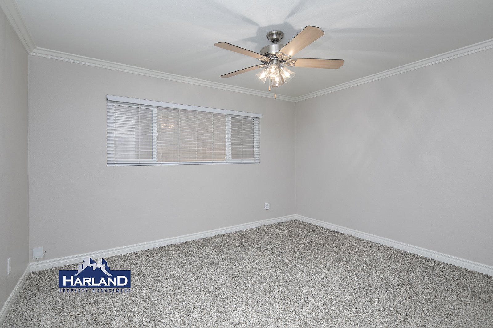 1315 Bush St property image