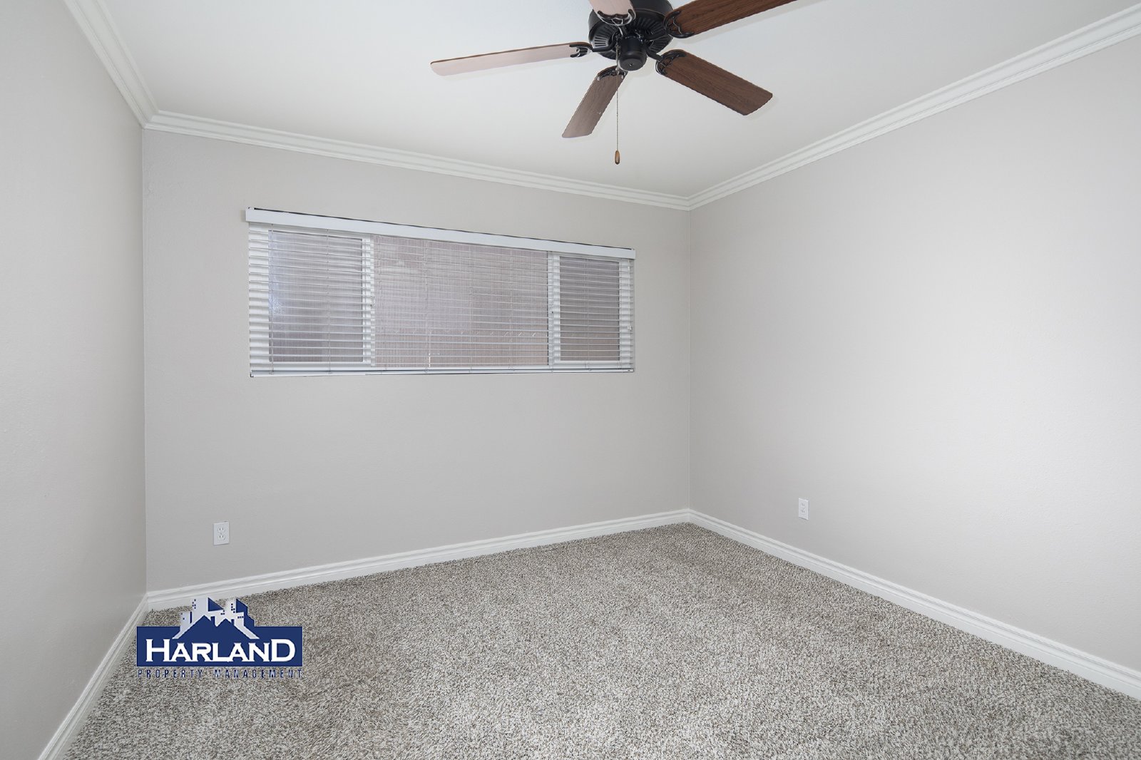 1315 Bush St property image