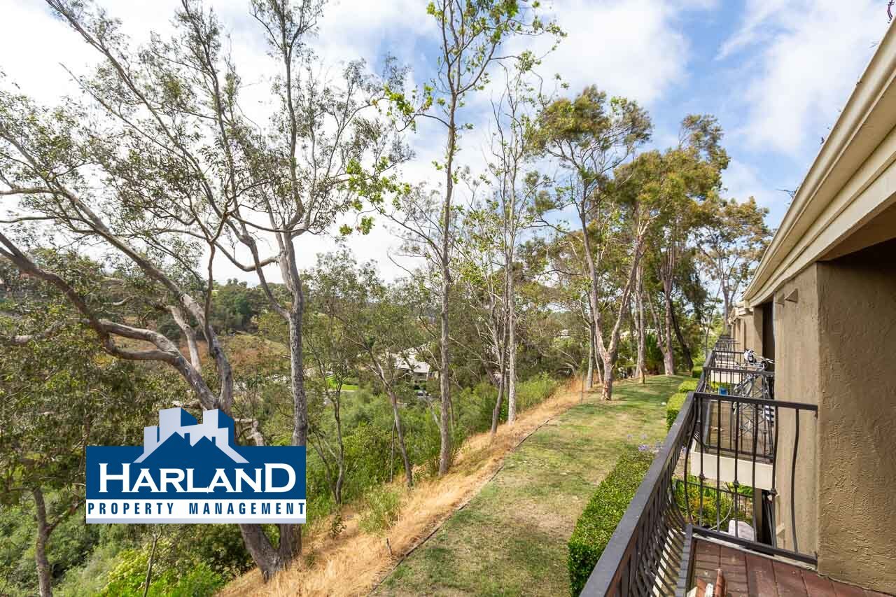 3137 Via Alicante property image