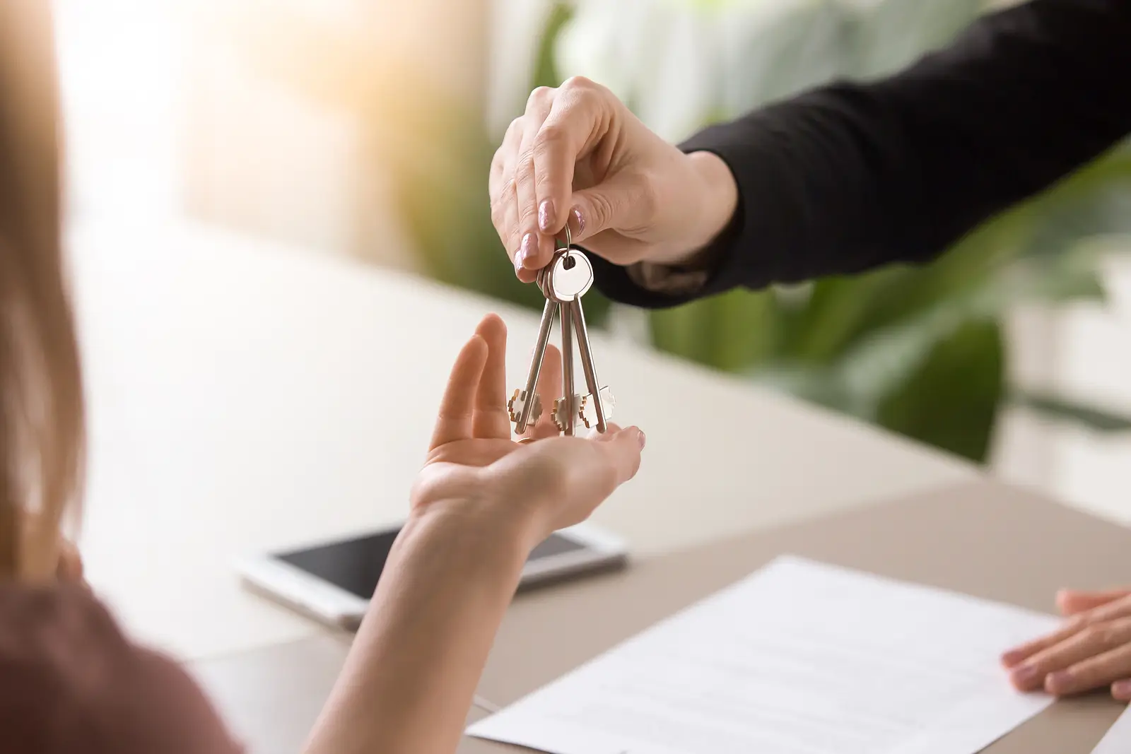 What Are Tenant Placement Services and How Can Landlords Benefit?