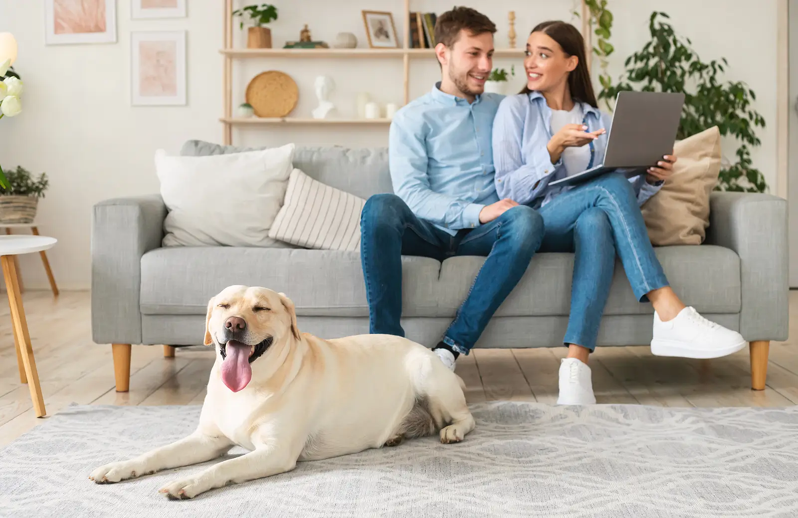 Pet Screening Tips for San Diego Landlords