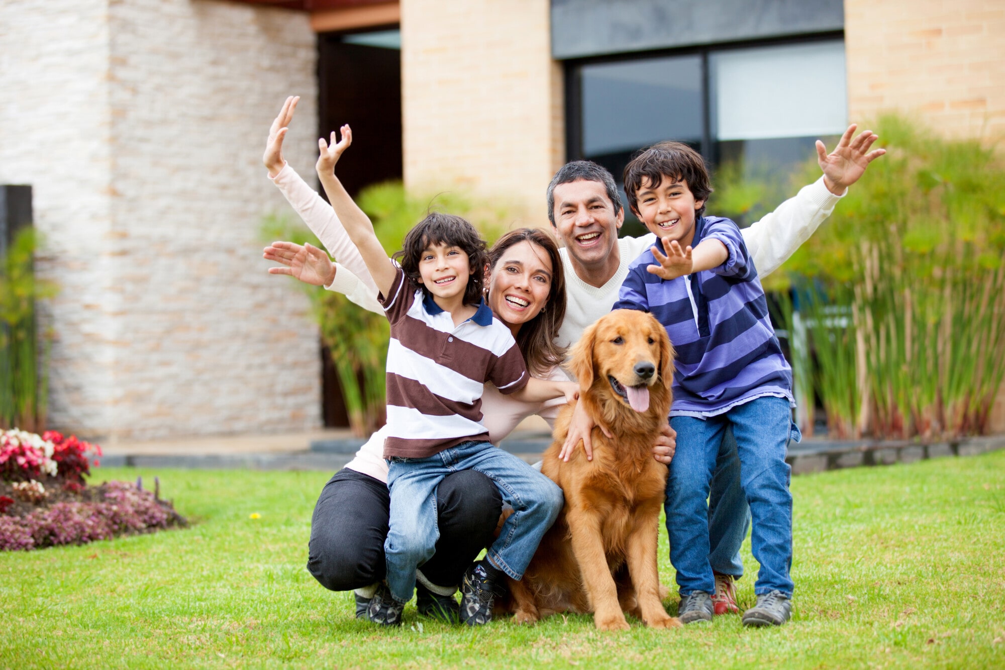 Should I Allow Pets in a Rental Property?